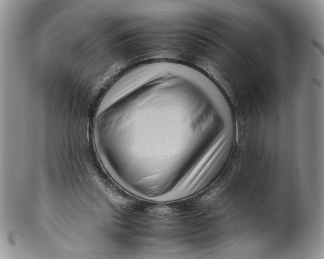 X0000099490253200806051105