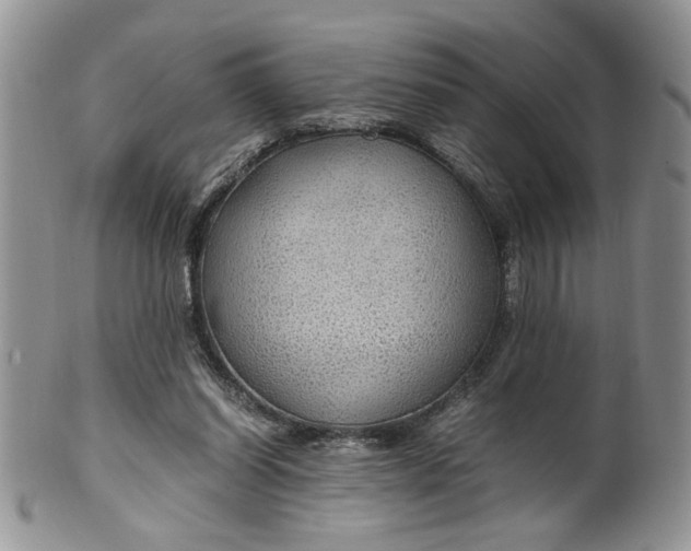 X0000099490254200806051105