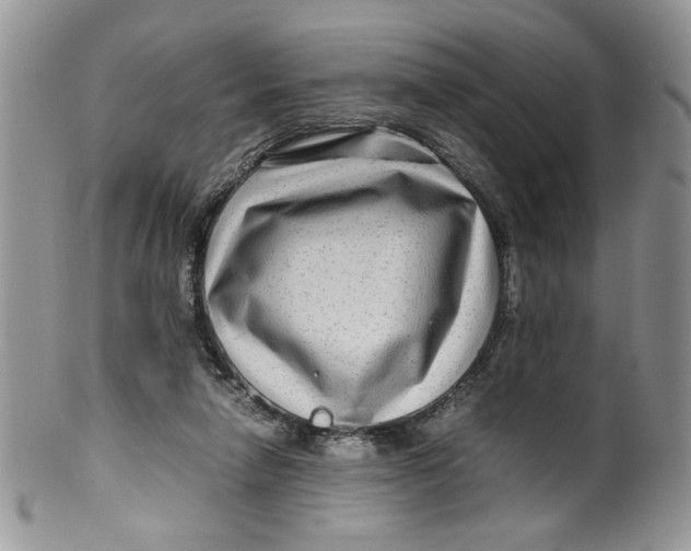 X0000099490258200806051105