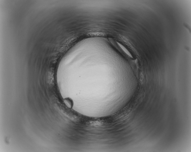 X0000099490259200806051105