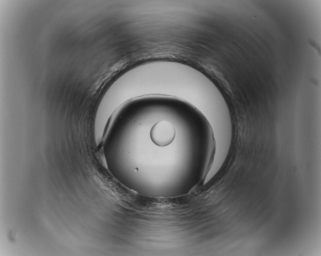 X0000099490260200806051105