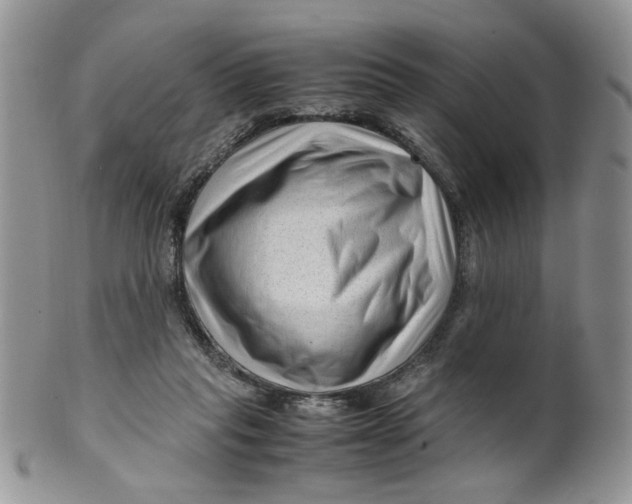 X0000099490261200806051105