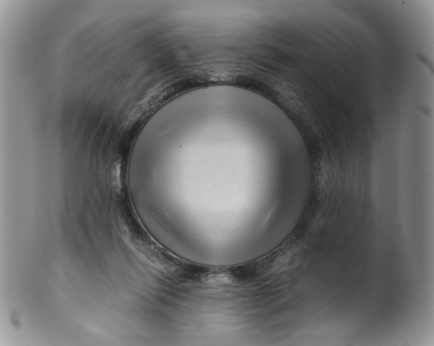 X0000099490262200806051105