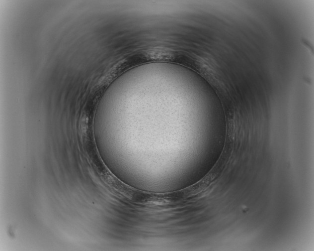 X0000099490263200806051105