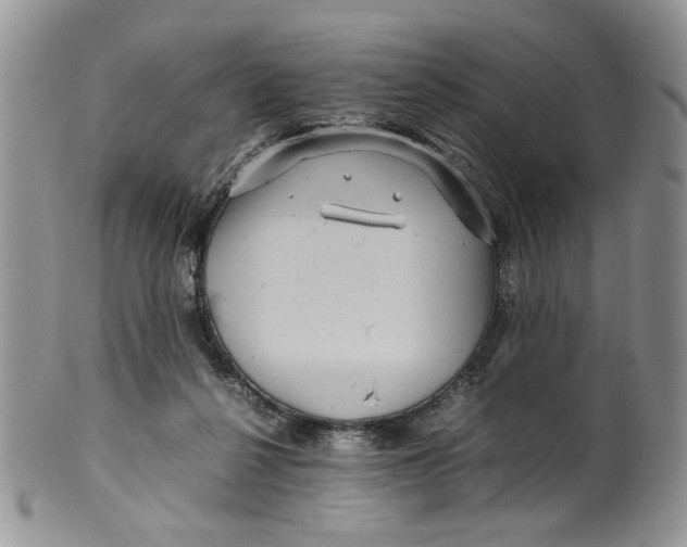 X0000099490264200806051105