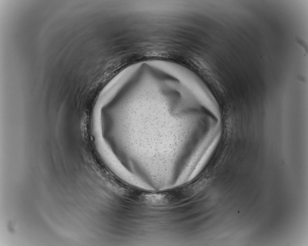 X0000099490265200806051105