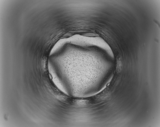 X0000099490268200806051105