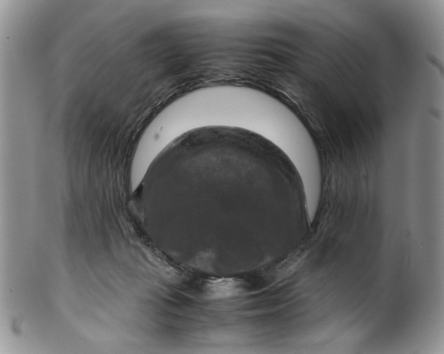 X0000099490269200806051105