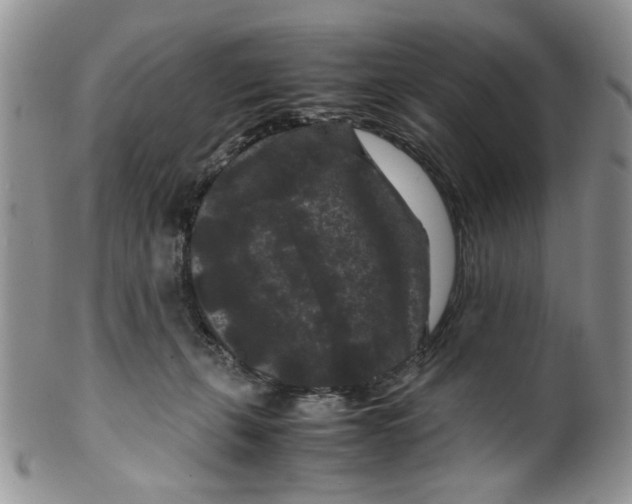 X0000099490271200806051105