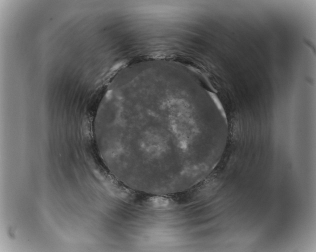 X0000099490272200806051105