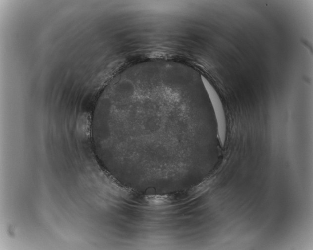 X0000099490273200806051105