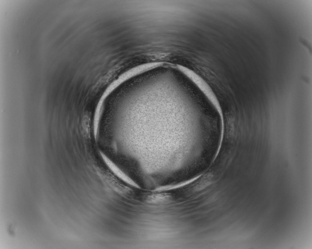 X0000099490274200806051105