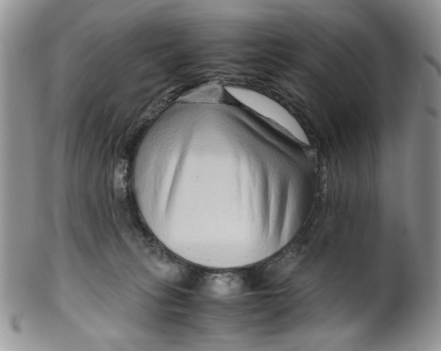 X0000099490275200806051105