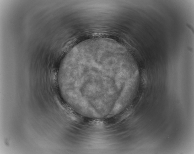 X0000099490276200806051105