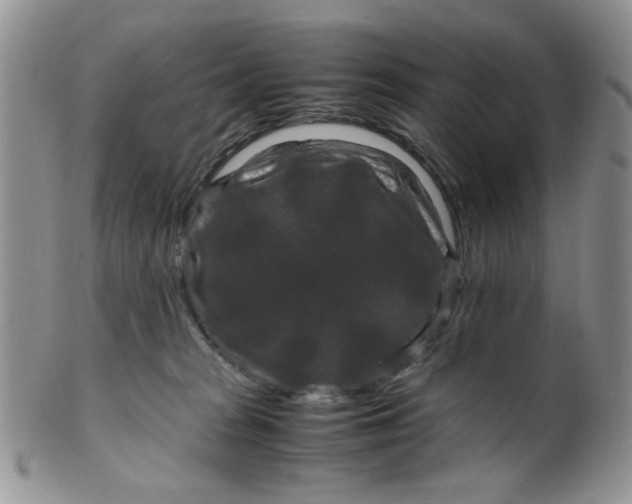 X0000099490277200806051105