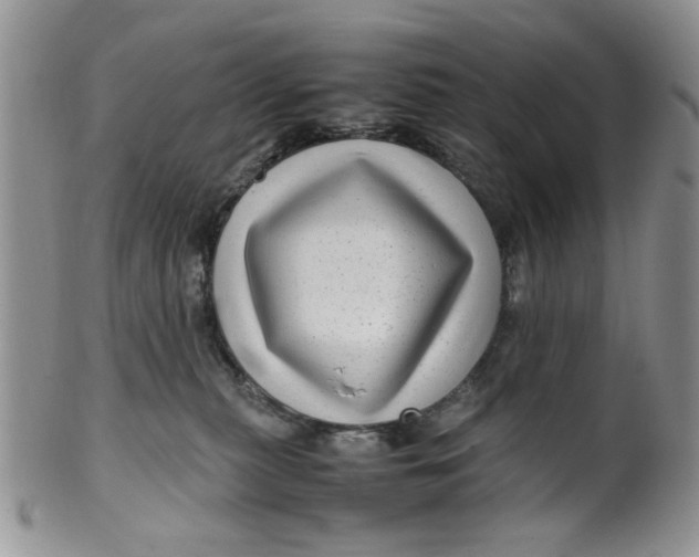 X0000099490279200806051105