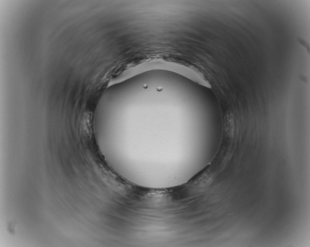 X0000099490280200806051106