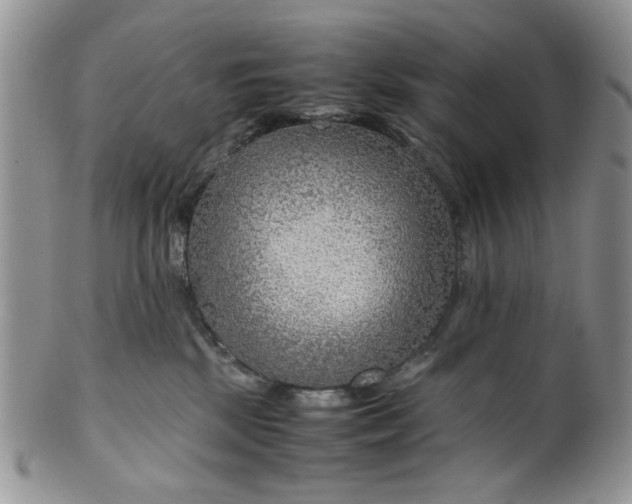 X0000099490281200806051106