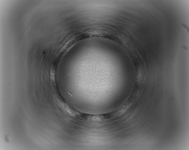 X0000099490282200806051106