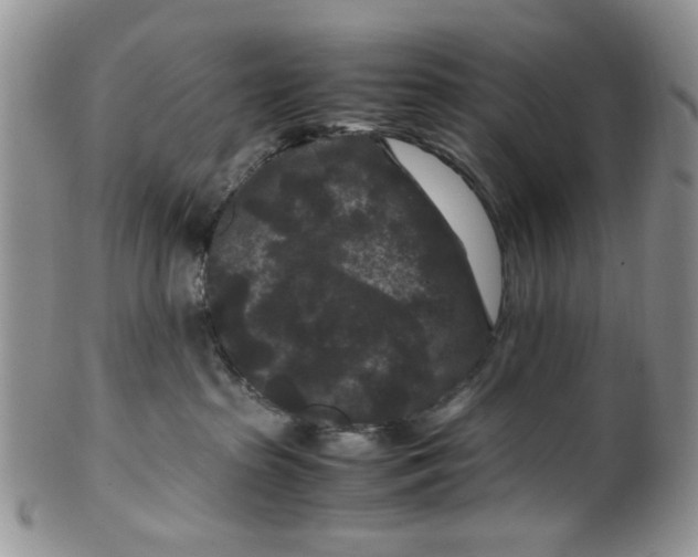 X0000099490285200806051106