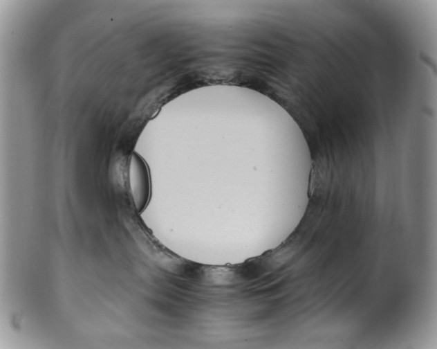 X0000099490287200806051106