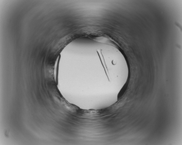 X0000099490288200806051106