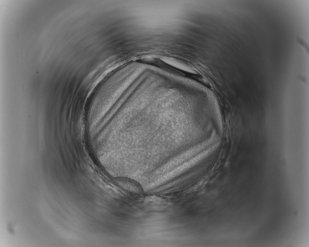 X0000099490290200806051105