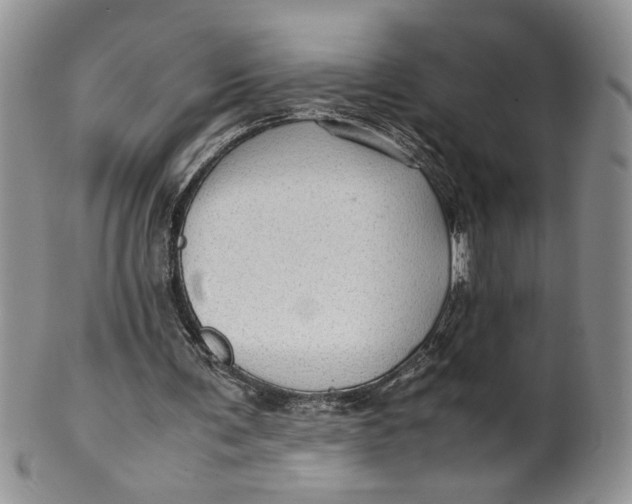 X0000099490291200806051105