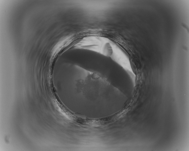 X0000099490293200806051105