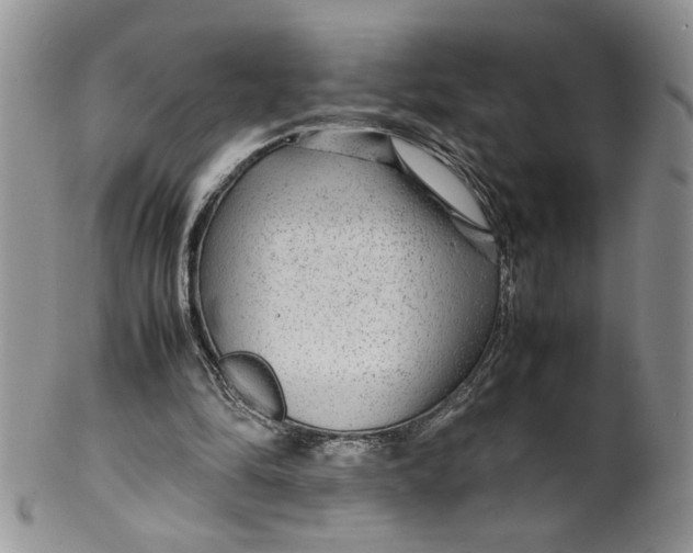 X0000099490294200806051105