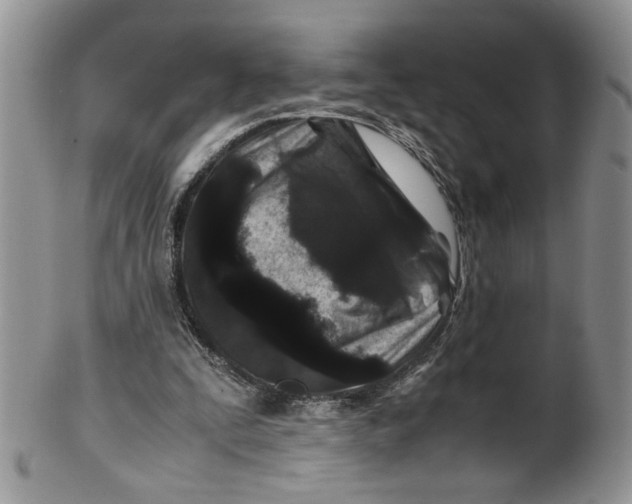 X0000099490295200806051105