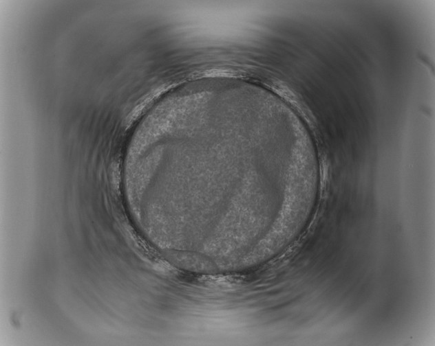 X0000099490297200806051105