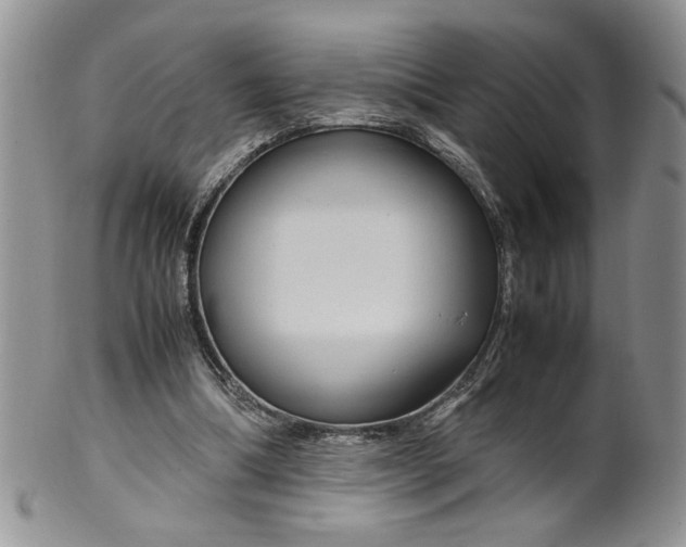 X0000099490298200806051105