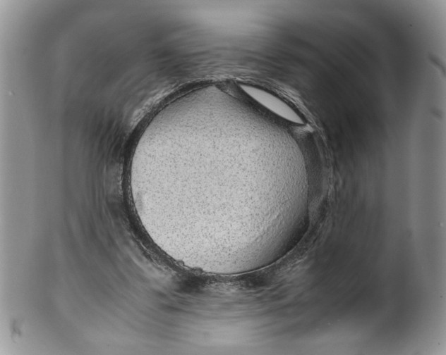 X0000099490299200806051105