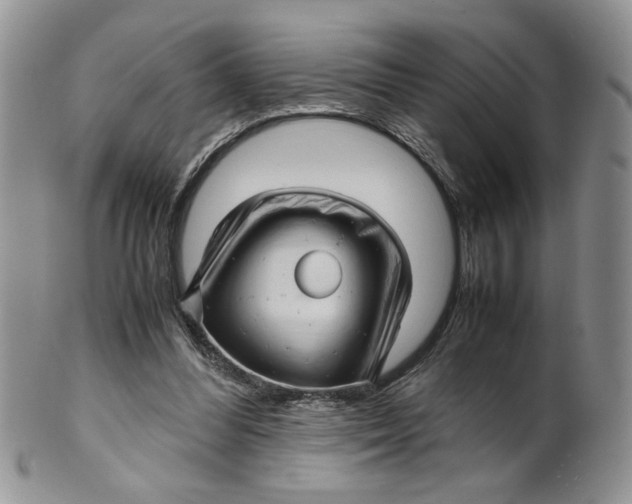 X0000099490300200806051105