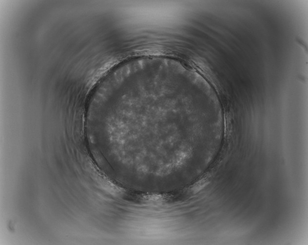 X0000099490301200806051105