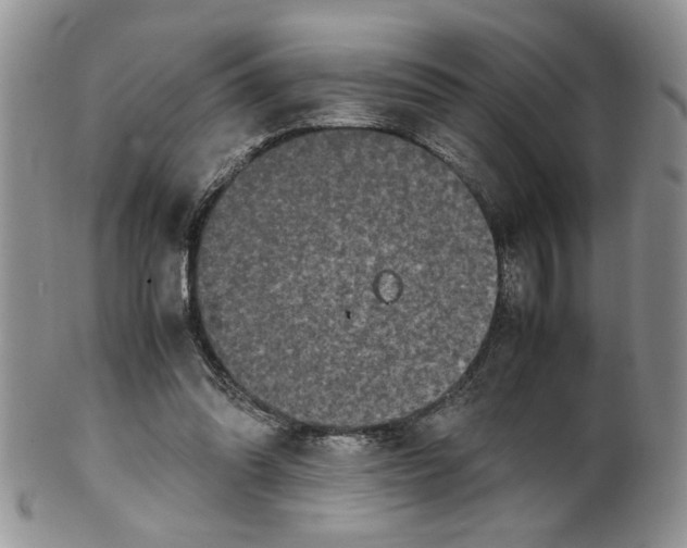 X0000099490302200806051105