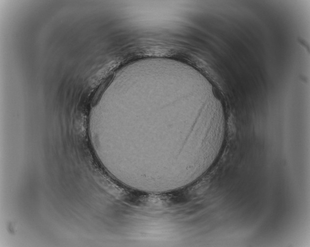 X0000099490305200806051105