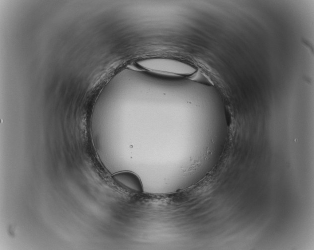 X0000099490306200806051105