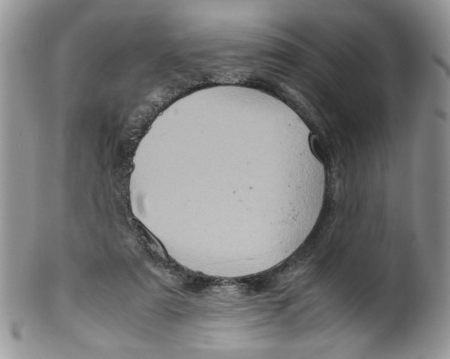 X0000099490307200806051105