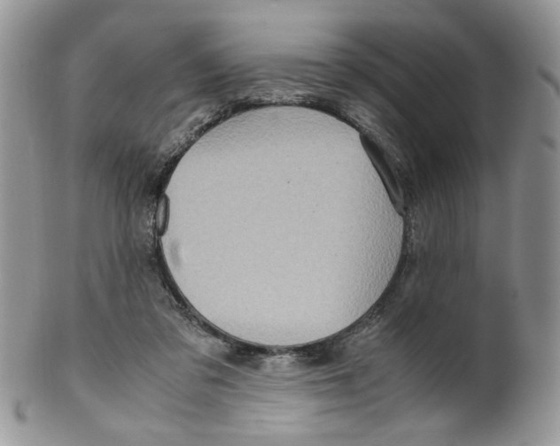 X0000099490309200806051105