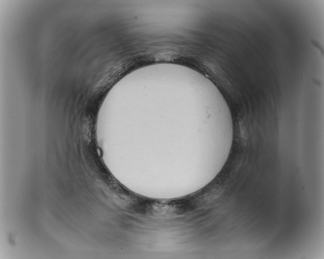 X0000099490311200806051105