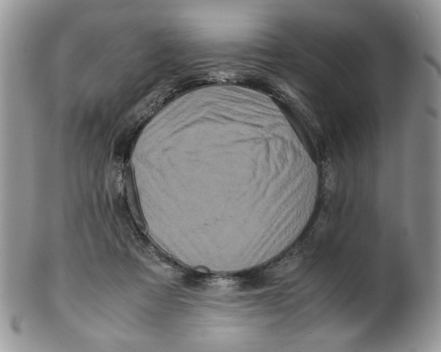 X0000099490313200806051105