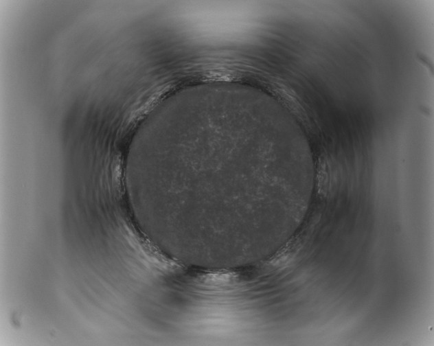 X0000099490314200806051105