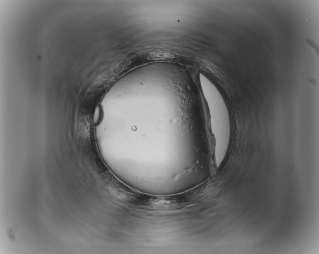 X0000099490315200806051105