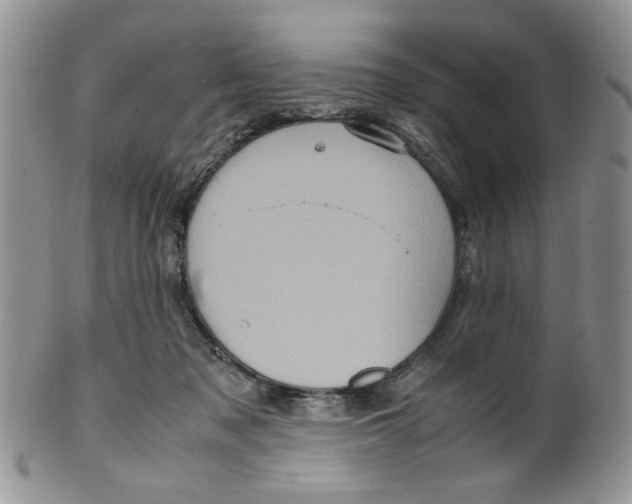 X0000099490317200806051105