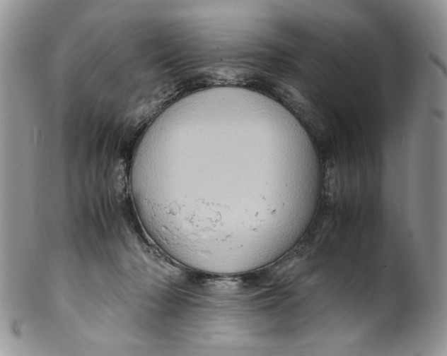 X0000099490318200806051105