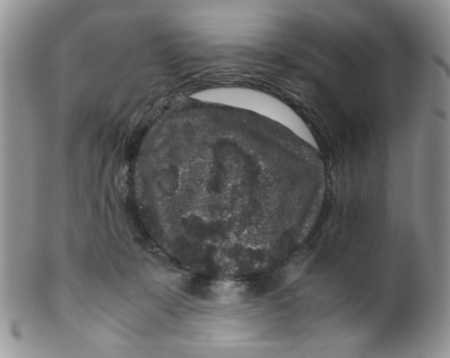 X0000099490319200806051104