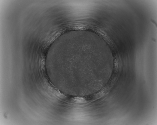 X0000099490322200806051104