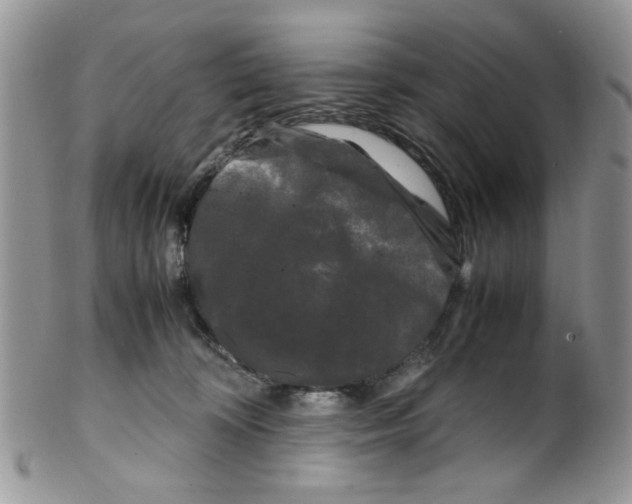 X0000099490324200806051104